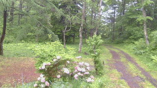 長野県菅平高原 ゆたか山荘 坂上 2026/06/03 10:30
