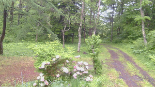 長野県菅平高原 ゆたか山荘 坂上 2026/06/03 11:30
