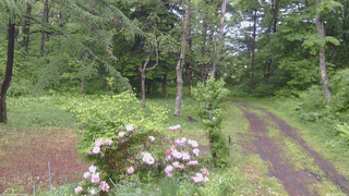 長野県菅平高原 ゆたか山荘 坂上 2026/06/03 12:00