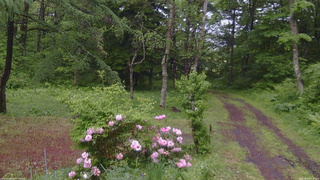 長野県菅平高原 ゆたか山荘 坂上 2026/06/03 12:15