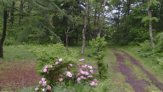 長野県菅平高原 ゆたか山荘 坂上 2026/06/03 12:30