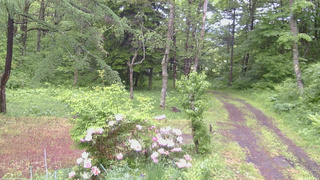 長野県菅平高原 ゆたか山荘 坂上 2026/06/03 13:00