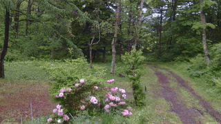 長野県菅平高原 ゆたか山荘 坂上 2026/06/03 13:15