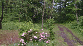 長野県菅平高原 ゆたか山荘 坂上 2026/06/03 13:45