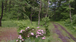 長野県菅平高原 ゆたか山荘 坂上 2026/06/03 14:00