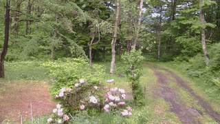 長野県菅平高原 ゆたか山荘 坂上 2026/06/03 14:30