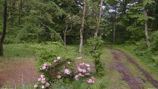 長野県菅平高原 ゆたか山荘 坂上 2026/06/03 14:45