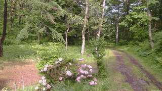 長野県菅平高原 ゆたか山荘 坂上 2026/06/03 15:00