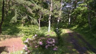 長野県菅平高原 ゆたか山荘 坂上 2026/06/03 15:15