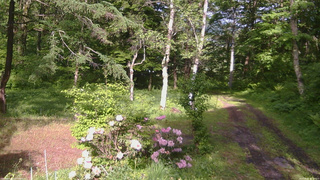 長野県菅平高原 ゆたか山荘 坂上 2026/06/03 15:30