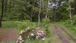 長野県菅平高原 ゆたか山荘 坂上 2026/06/03 15:45