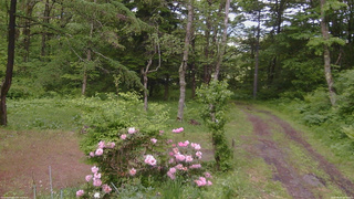 長野県菅平高原 ゆたか山荘 坂上 2026/06/03 16:00