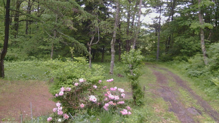 長野県菅平高原 ゆたか山荘 坂上 2026/06/03 17:00