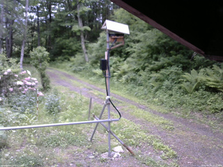 長野県菅平高原 ゆたか山荘 南側 2026/06/04 10:00