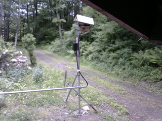 長野県菅平高原 ゆたか山荘 南側 2026/06/04 10:15
