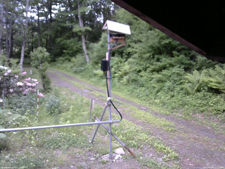 長野県菅平高原 ゆたか山荘 南側 2026/06/04 12:15