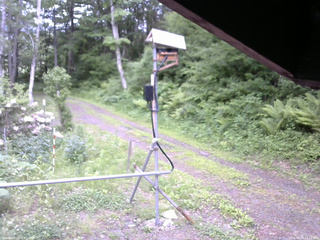 長野県菅平高原 ゆたか山荘 南側 2026/06/04 13:45