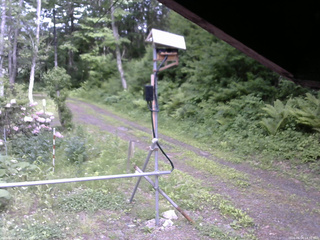 長野県菅平高原 ゆたか山荘 南側 2026/06/04 14:30