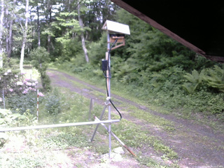 長野県菅平高原 ゆたか山荘 南側 2026/06/04 14:45
