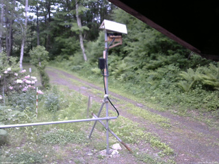 長野県菅平高原 ゆたか山荘 南側 2026/06/04 16:30