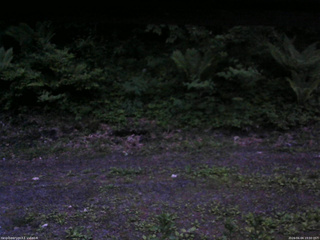 長野県菅平高原 ゆたか山荘 東側(坂下) 2026/06/04 19:00