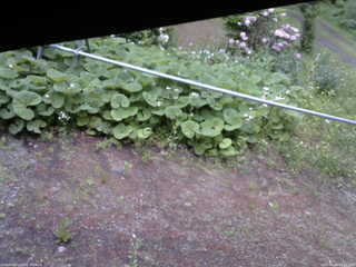長野県菅平高原 ゆたか山荘 駐車場 2026/06/04 05:15