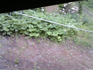 長野県菅平高原 ゆたか山荘 駐車場 2026/06/04 06:30