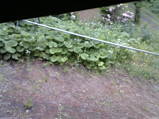 長野県菅平高原 ゆたか山荘 駐車場 2026/06/04 06:45