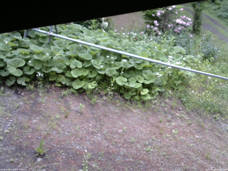 長野県菅平高原 ゆたか山荘 駐車場 2026/06/04 07:00