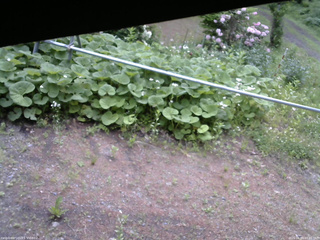 長野県菅平高原 ゆたか山荘 駐車場 2026/06/04 07:45
