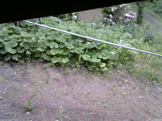 長野県菅平高原 ゆたか山荘 駐車場 2026/06/04 08:00
