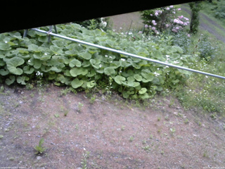 長野県菅平高原 ゆたか山荘 駐車場 2026/06/04 08:30