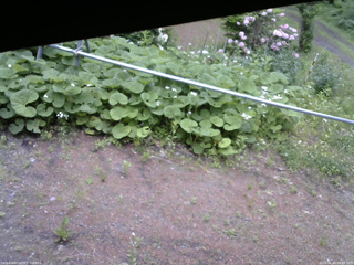 長野県菅平高原 ゆたか山荘 駐車場 2026/06/04 09:45