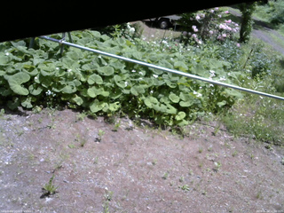 長野県菅平高原 ゆたか山荘 駐車場 2026/06/04 11:00