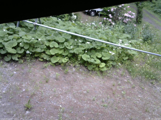長野県菅平高原 ゆたか山荘 駐車場 2026/06/04 11:15