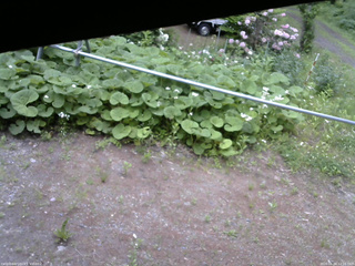長野県菅平高原 ゆたか山荘 駐車場 2026/06/04 12:15