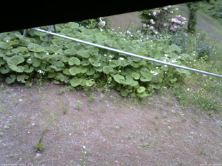 長野県菅平高原 ゆたか山荘 駐車場 2026/06/04 12:45