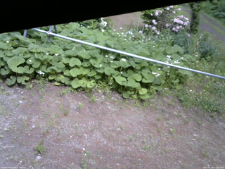 長野県菅平高原 ゆたか山荘 駐車場 2026/06/04 14:00
