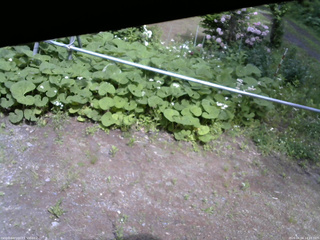 長野県菅平高原 ゆたか山荘 駐車場 2026/06/04 14:15