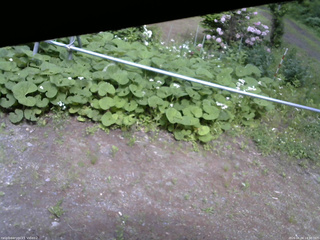 長野県菅平高原 ゆたか山荘 駐車場 2026/06/04 14:30