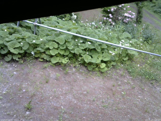 長野県菅平高原 ゆたか山荘 駐車場 2026/06/04 15:45