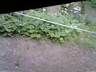 長野県菅平高原 ゆたか山荘 駐車場 2026/06/04 16:00