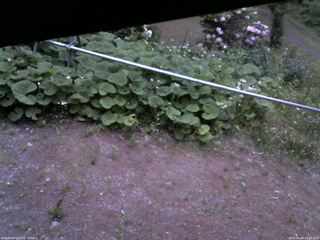 長野県菅平高原 ゆたか山荘 駐車場 2026/06/04 18:45