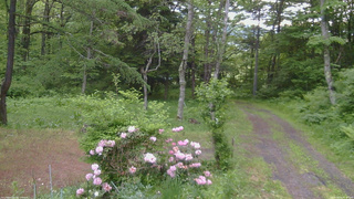 長野県菅平高原 ゆたか山荘 坂上 2026/06/04 05:00