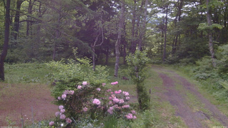 長野県菅平高原 ゆたか山荘 坂上 2026/06/04 07:30