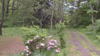 長野県菅平高原 ゆたか山荘 坂上 2026/06/04 07:45