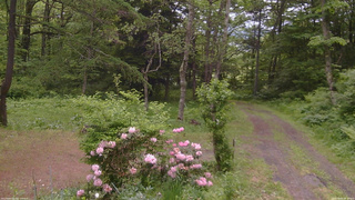 長野県菅平高原 ゆたか山荘 坂上 2026/06/04 08:15
