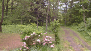 長野県菅平高原 ゆたか山荘 坂上 2026/06/04 08:30