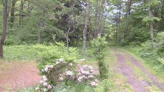 長野県菅平高原 ゆたか山荘 坂上 2026/06/04 09:00