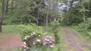長野県菅平高原 ゆたか山荘 坂上 2026/06/04 09:30